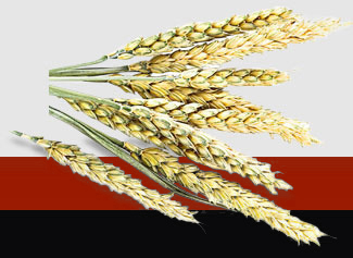 BB电子游戏·(中国)官方官网