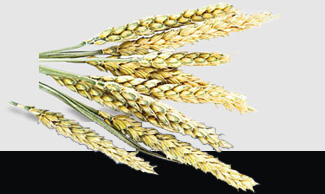 BB电子游戏·(中国)官方官网