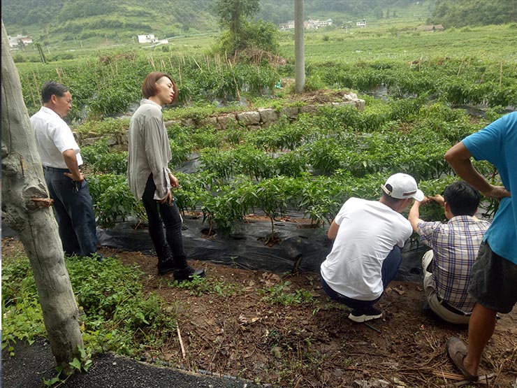 BB电子游戏·(中国)官方官网