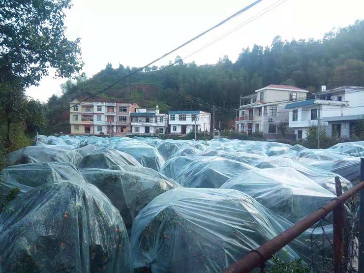 BB电子游戏·(中国)官方官网