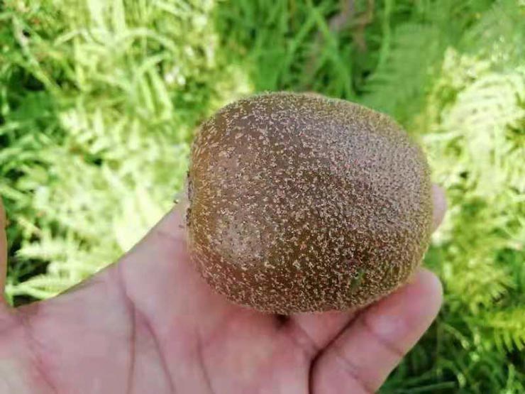 BB电子游戏·(中国)官方官网