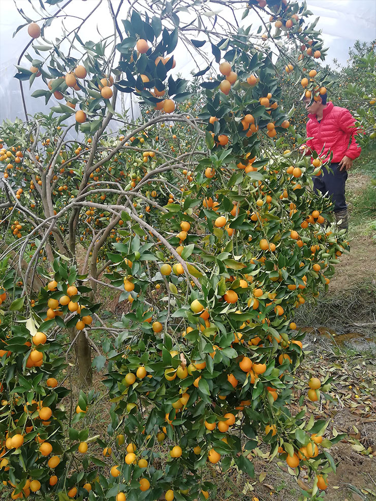 BB电子游戏·(中国)官方官网