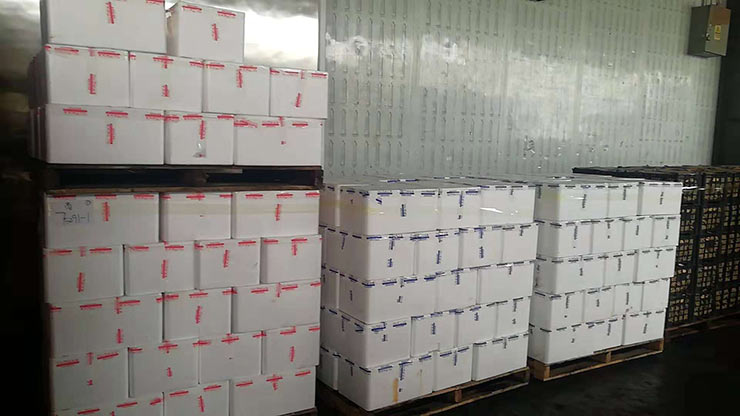 BB电子游戏·(中国)官方官网