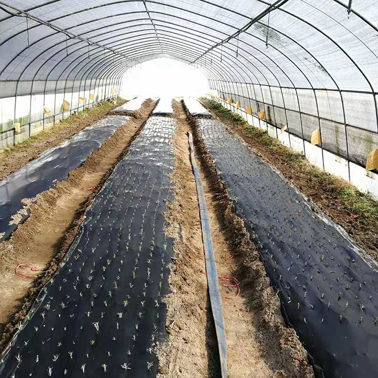 BB电子游戏·(中国)官方官网