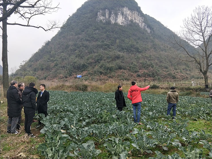 BB电子游戏·(中国)官方官网
