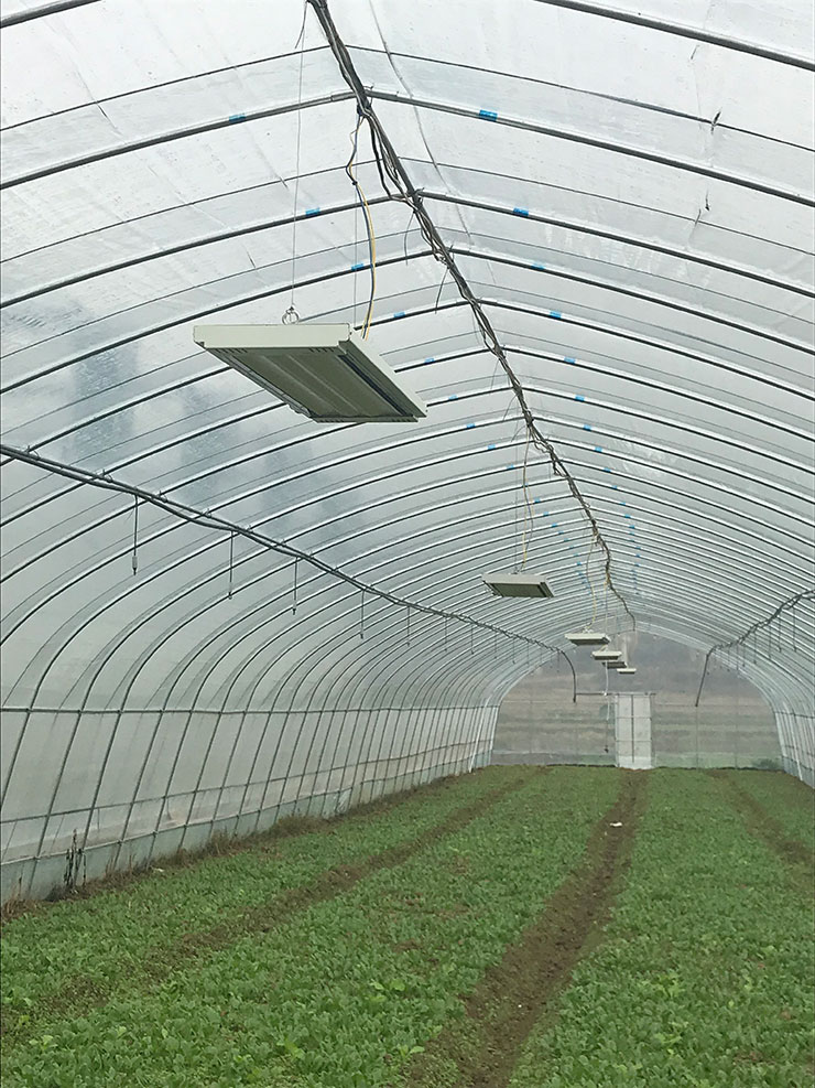 BB电子游戏·(中国)官方官网