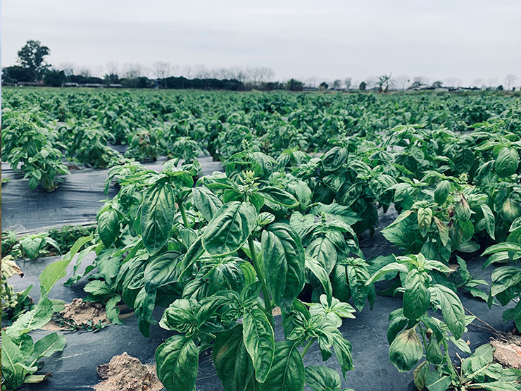 BB电子游戏·(中国)官方官网