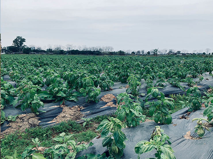 BB电子游戏·(中国)官方官网
