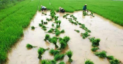 BB电子游戏·(中国)官方官网