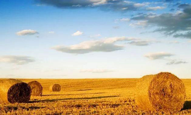 BB电子游戏·(中国)官方官网