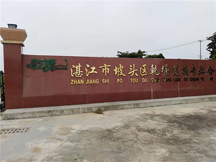 BB电子游戏·(中国)官方官网