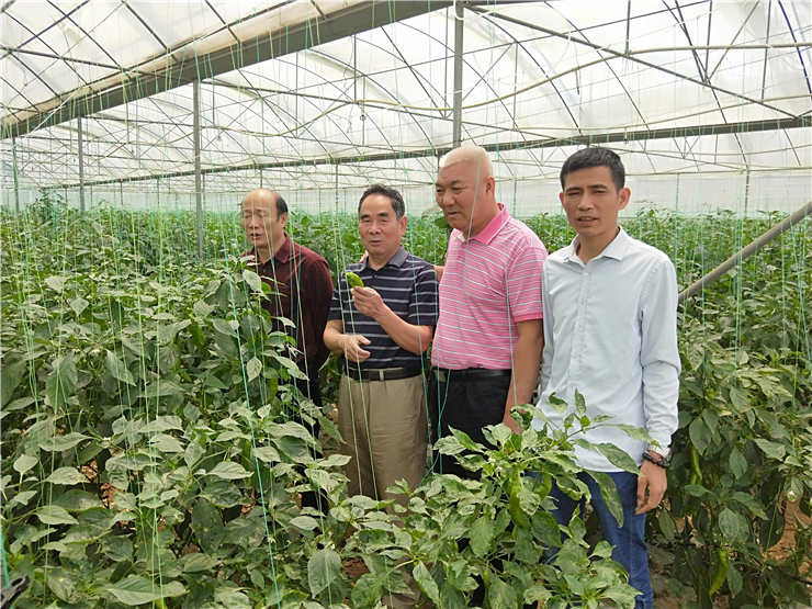 BB电子游戏·(中国)官方官网