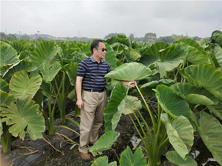BB电子游戏·(中国)官方官网