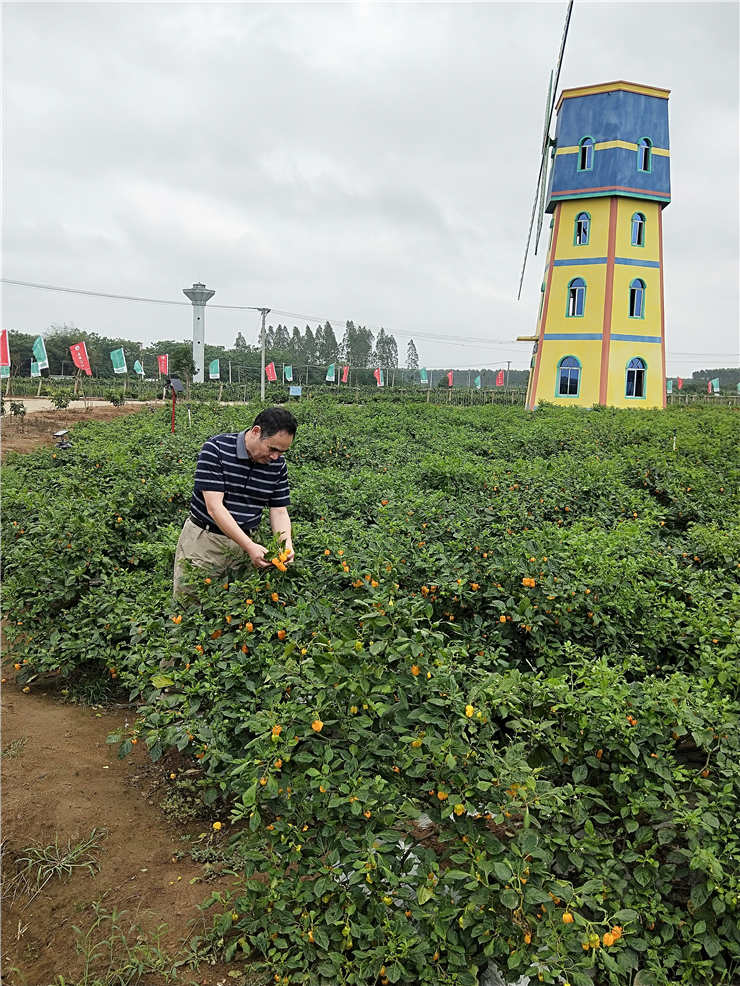BB电子游戏·(中国)官方官网