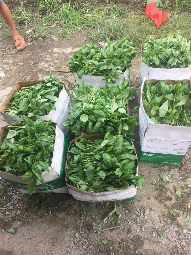 BB电子游戏·(中国)官方官网