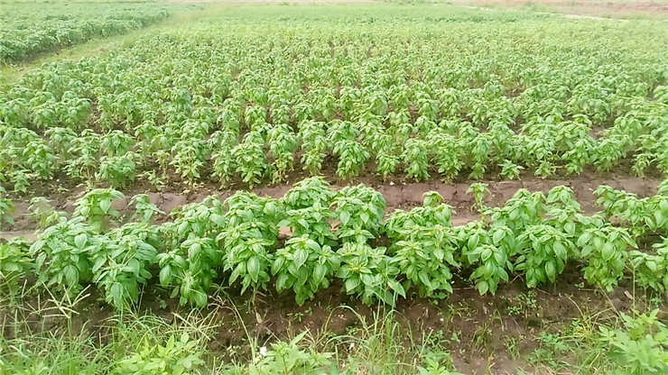 BB电子游戏·(中国)官方官网