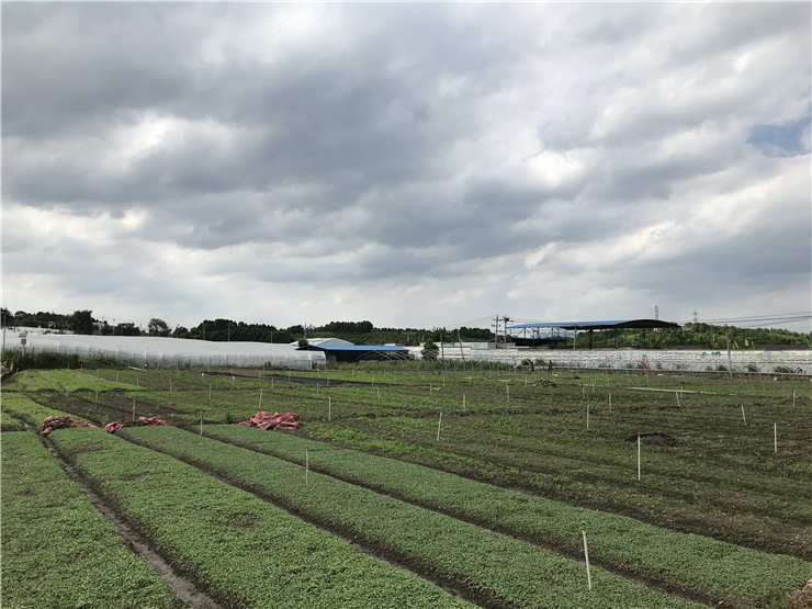 BB电子游戏·(中国)官方官网