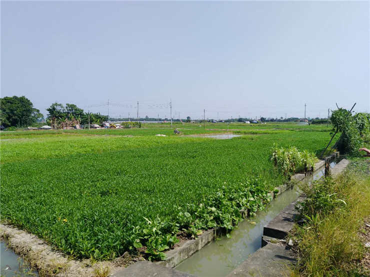 BB电子游戏·(中国)官方官网