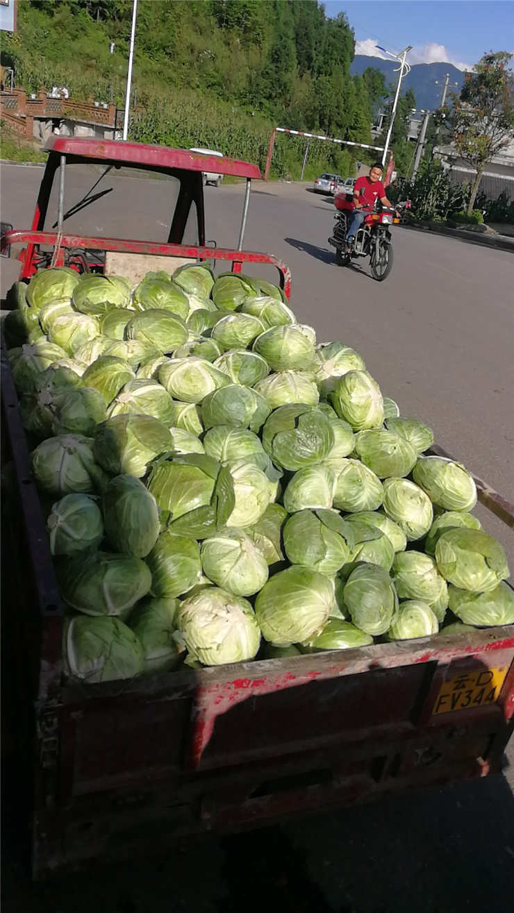 BB电子游戏·(中国)官方官网