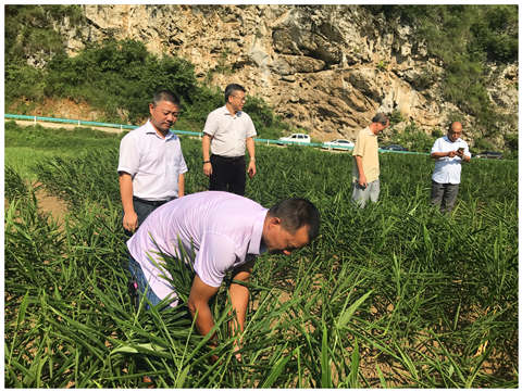 BB电子游戏·(中国)官方官网