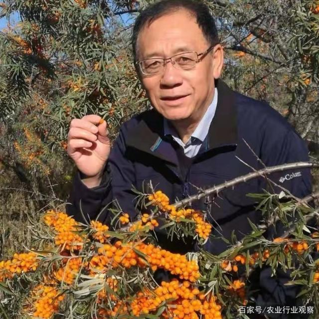 BB电子游戏·(中国)官方官网