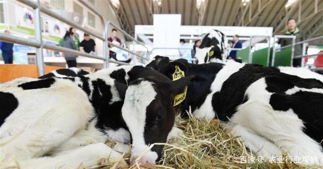 BB电子游戏·(中国)官方官网