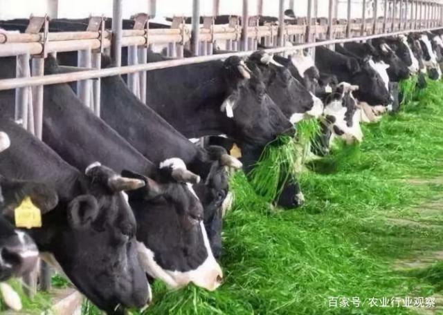 BB电子游戏·(中国)官方官网