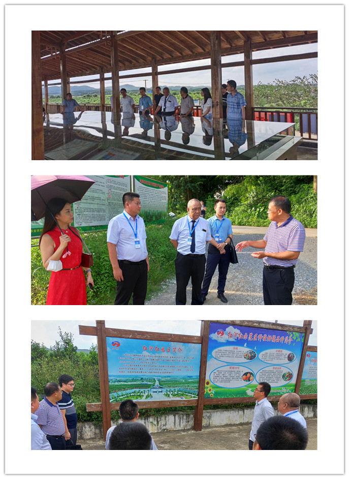 BB电子游戏·(中国)官方官网