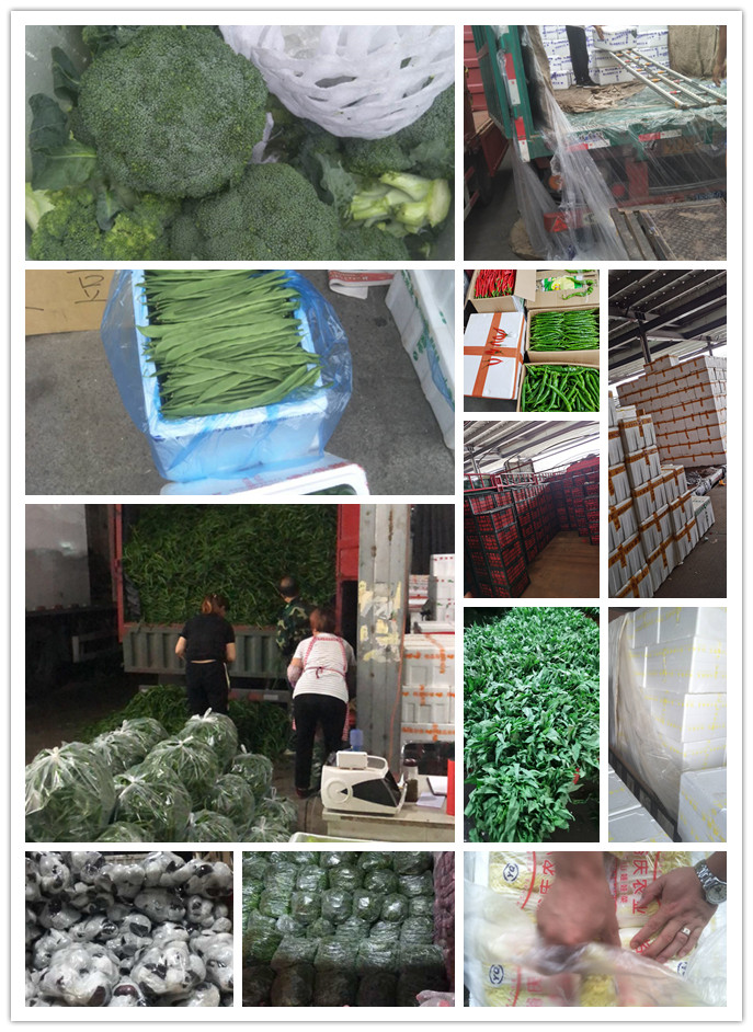 BB电子游戏·(中国)官方官网