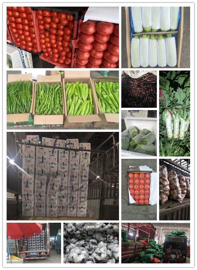 BB电子游戏·(中国)官方官网