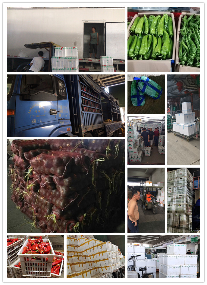 BB电子游戏·(中国)官方官网