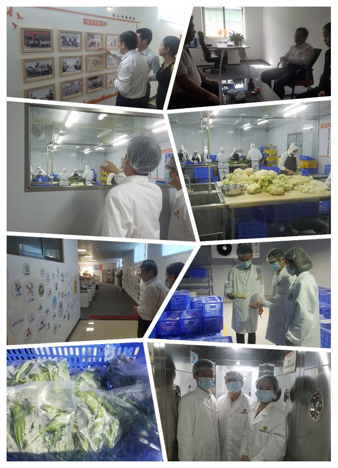 BB电子游戏·(中国)官方官网