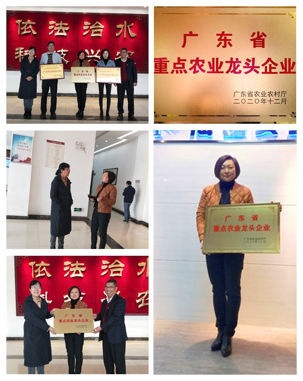 BB电子游戏·(中国)官方官网