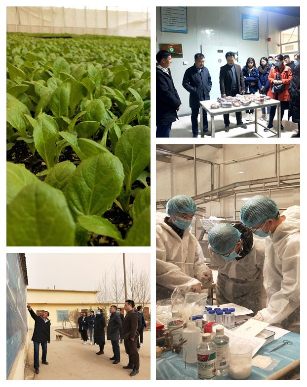 BB电子游戏·(中国)官方官网