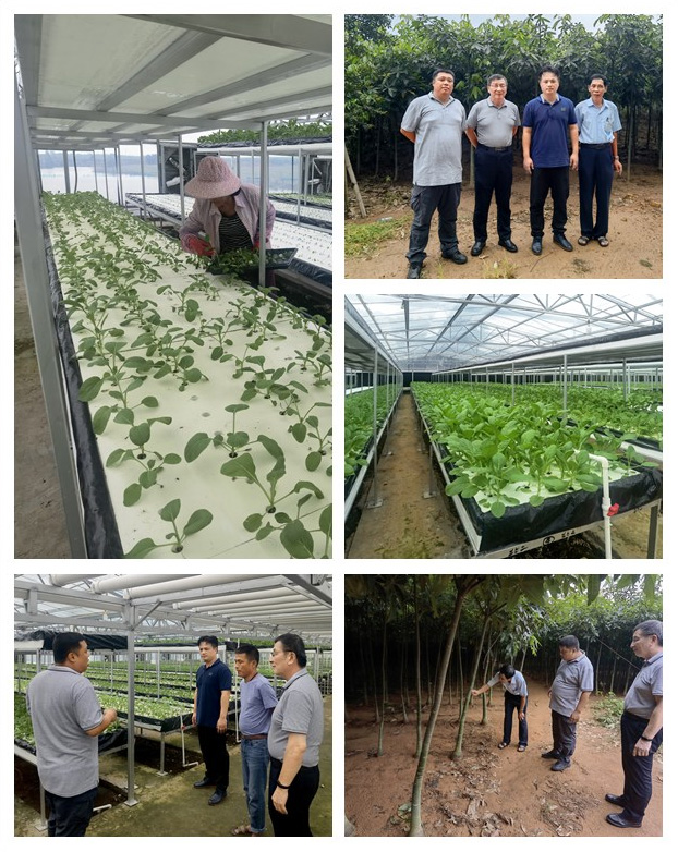 BB电子游戏·(中国)官方官网