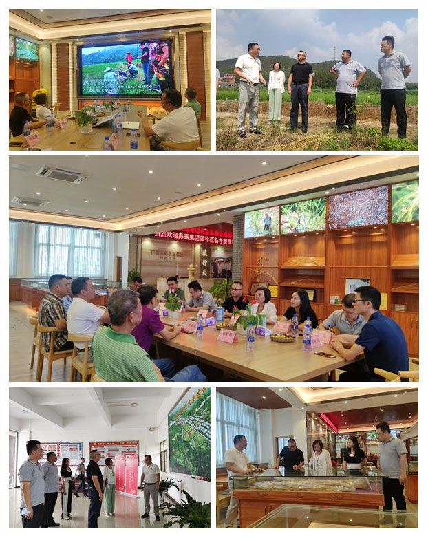 BB电子游戏·(中国)官方官网