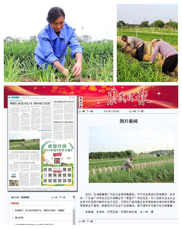 BB电子游戏·(中国)官方官网