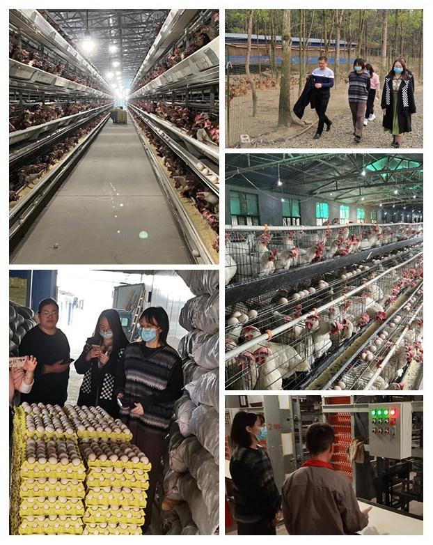 BB电子游戏·(中国)官方官网