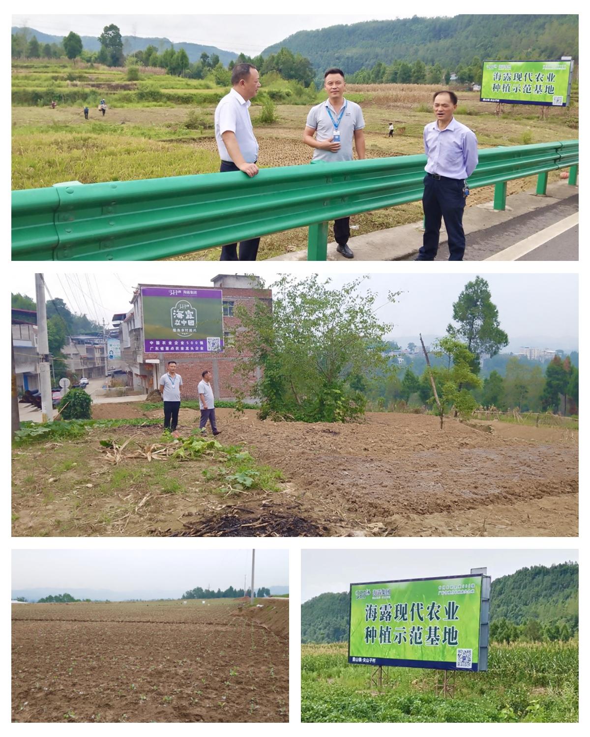 BB电子游戏·(中国)官方官网