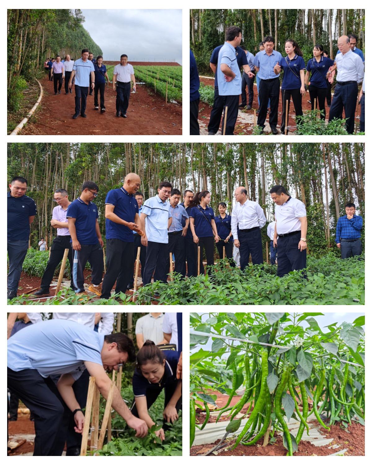 BB电子游戏·(中国)官方官网