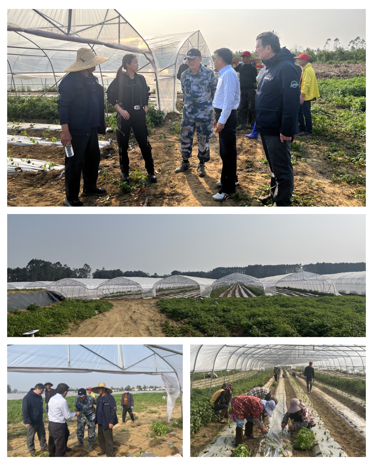 BB电子游戏·(中国)官方官网