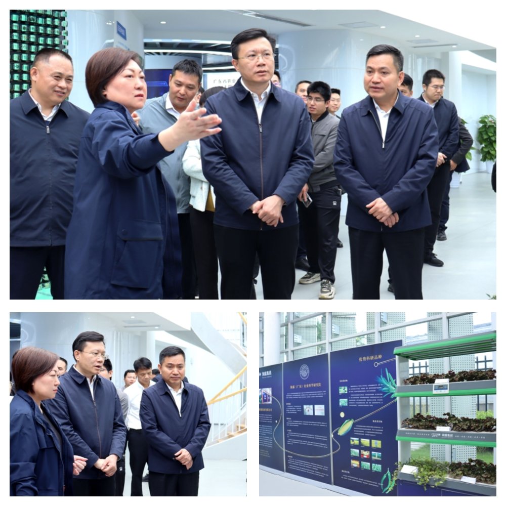 BB电子游戏·(中国)官方官网