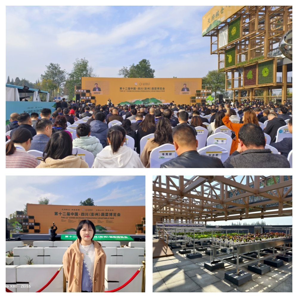 BB电子游戏·(中国)官方官网