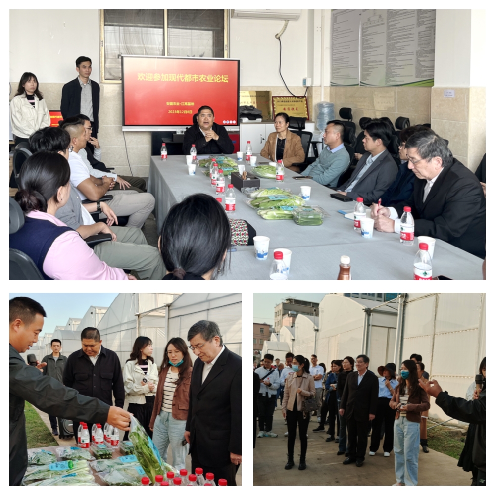 BB电子游戏·(中国)官方官网