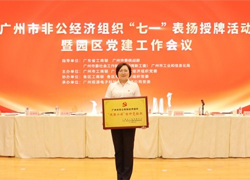 标杆引领，荣誉升级！集团党支部荣膺广州市非公有造经济组织“双强六好”标