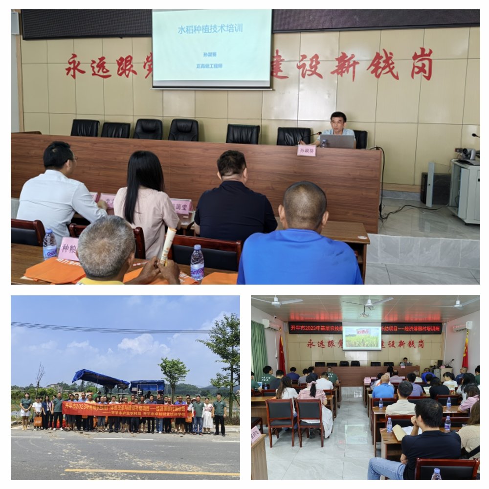 BB电子游戏·(中国)官方官网