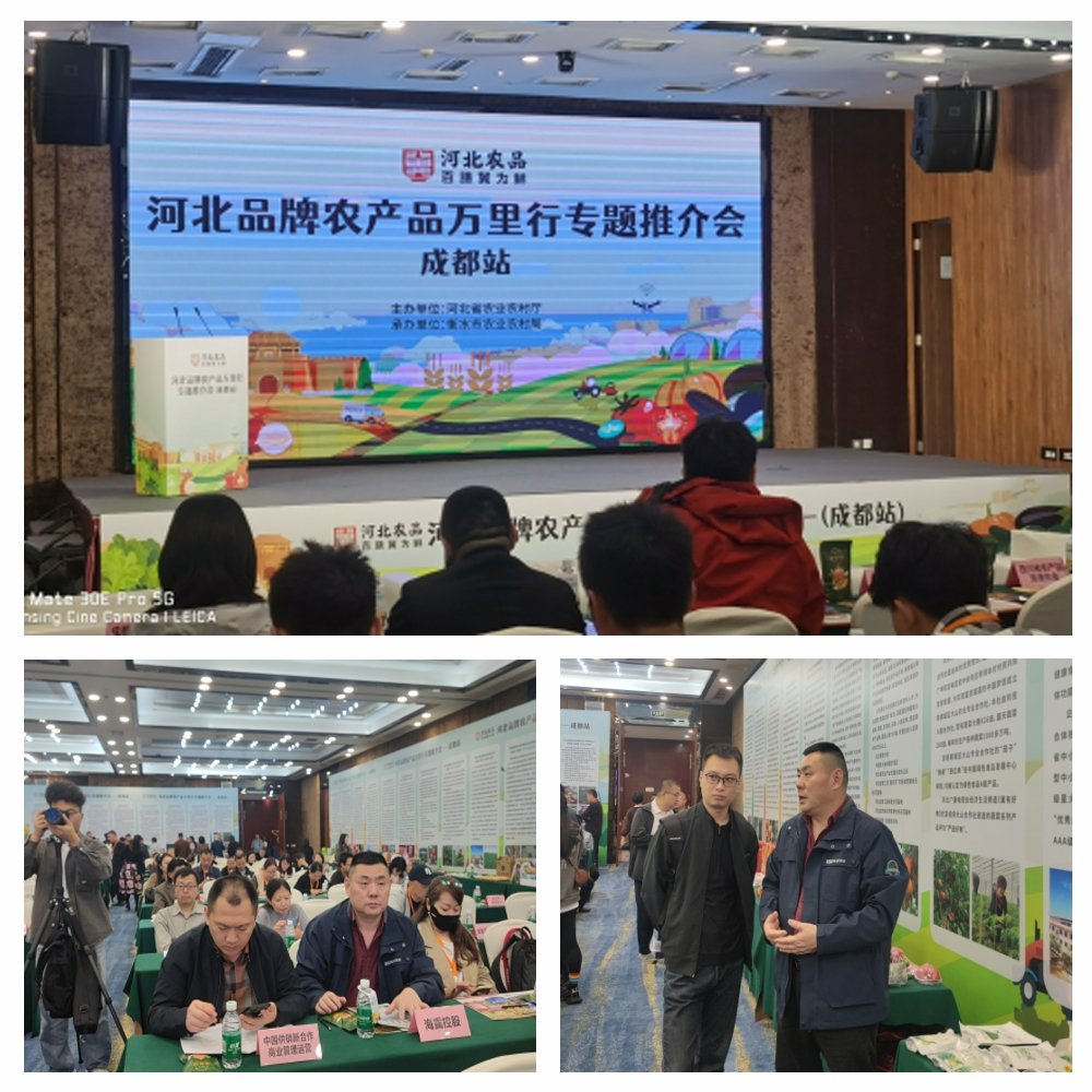 BB电子游戏·(中国)官方官网