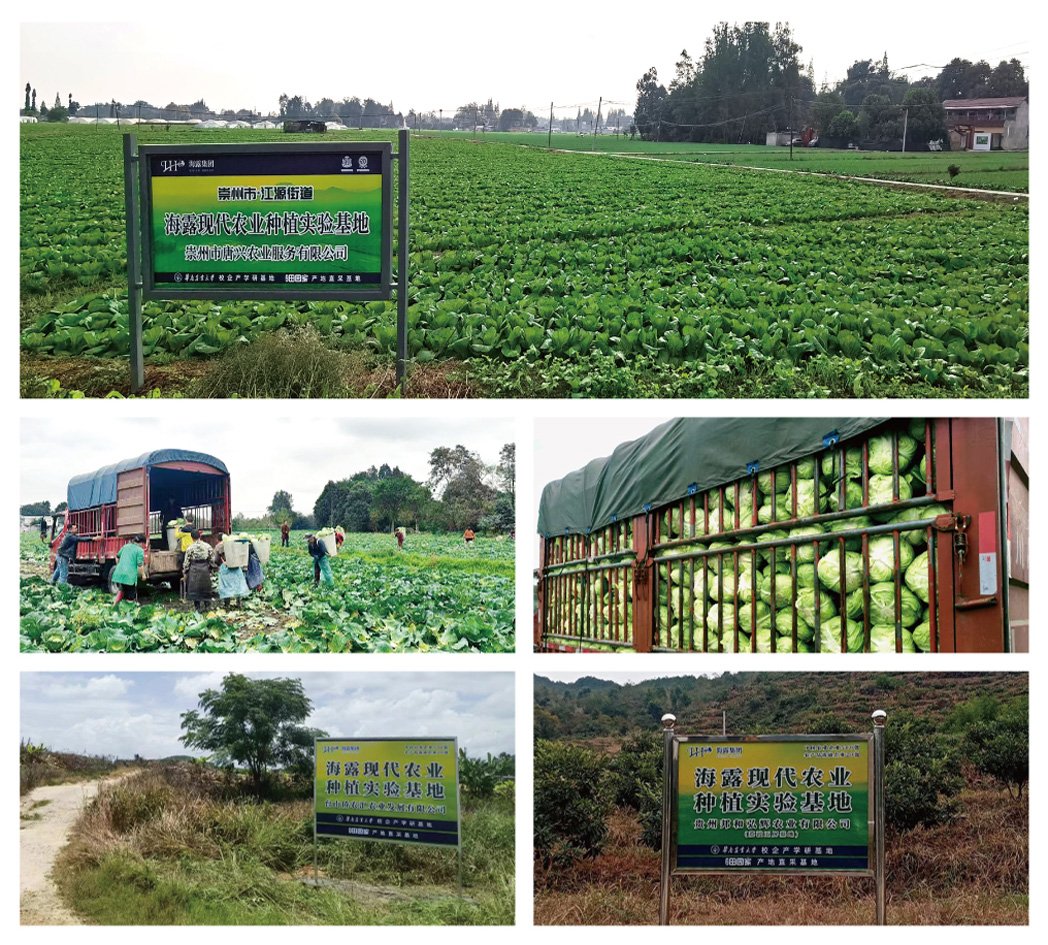 BB电子游戏·(中国)官方官网