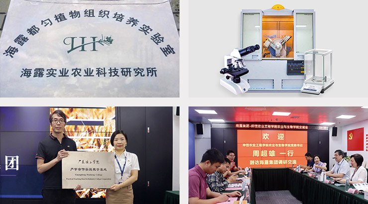 BB电子游戏·(中国)官方官网