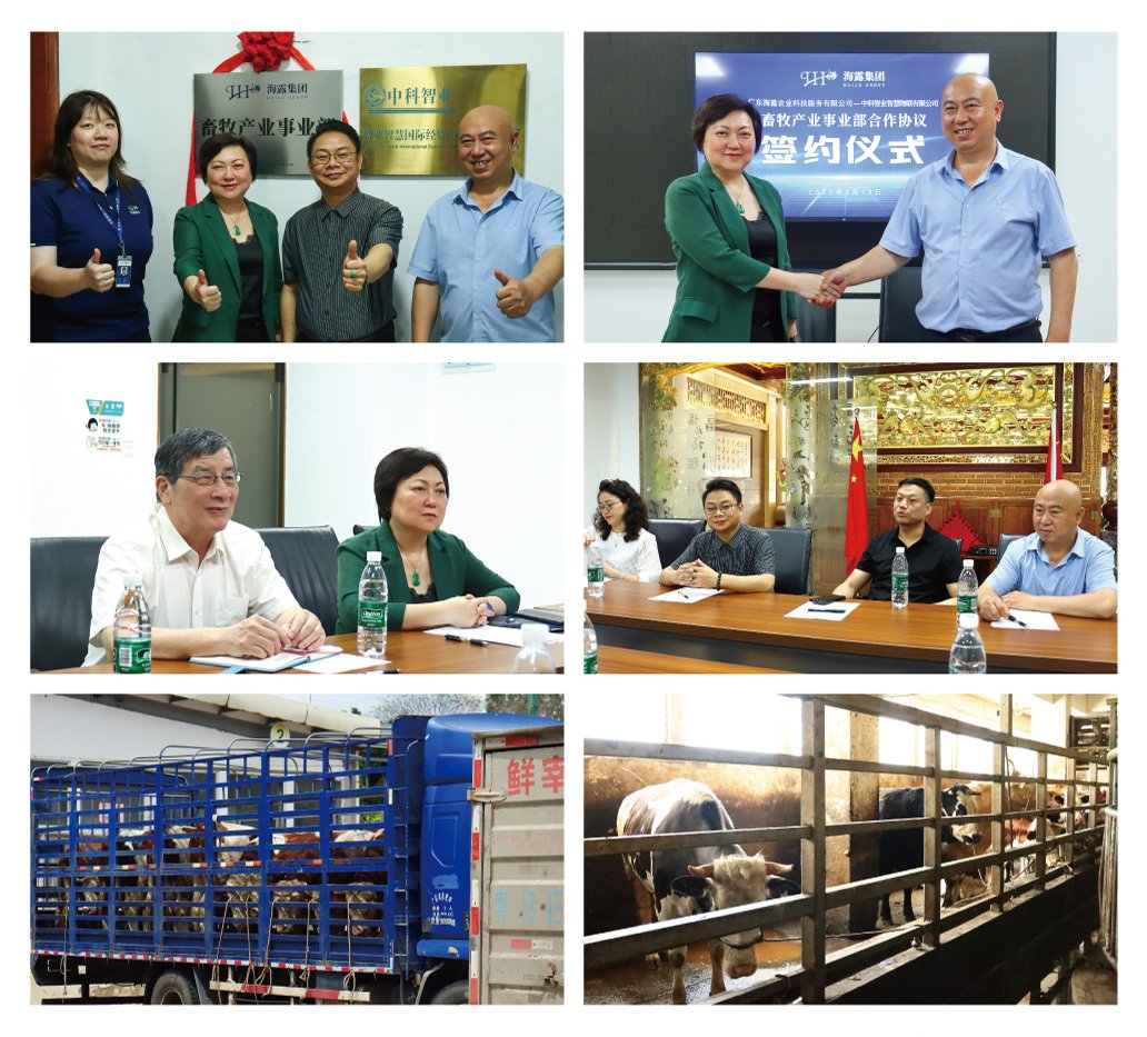 BB电子游戏·(中国)官方官网